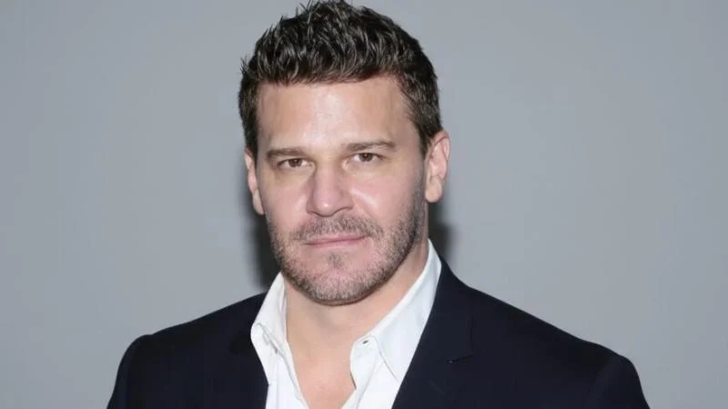 David Borhaz Net Worth, Career Highlights, and Personal Life in 2026