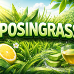 Lyposingrass Review: Does This Natural Formula Really Work?