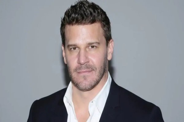 What Makes David Borhaz a Role Model for Young Professionals?