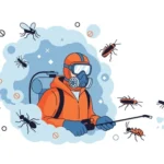 Anticimex 3D Sanidad Ambiental / Wisecon Estrategia DE Consolidación: Complete Guide